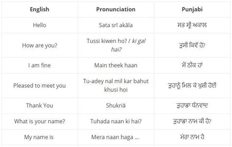 basic punjabi phrases.